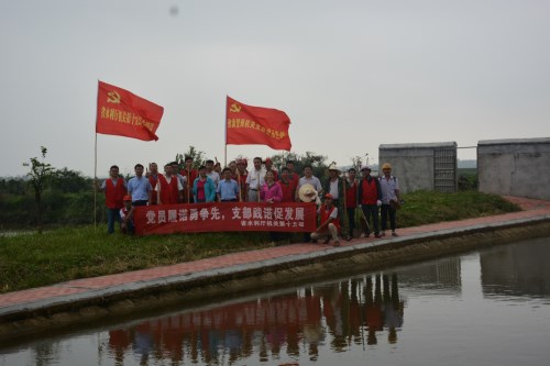 “党员活动日”让党员都动起来