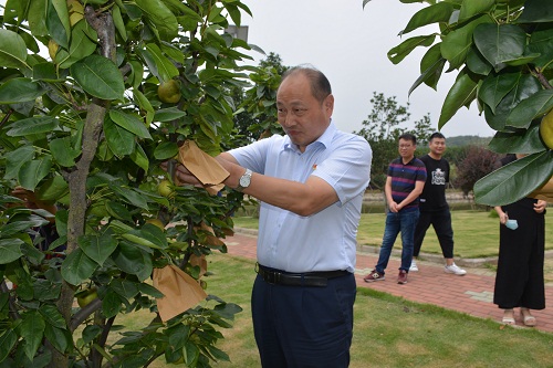 开展主题党日活动 助推工程标准管理